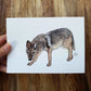 AZ Series Coyote Print