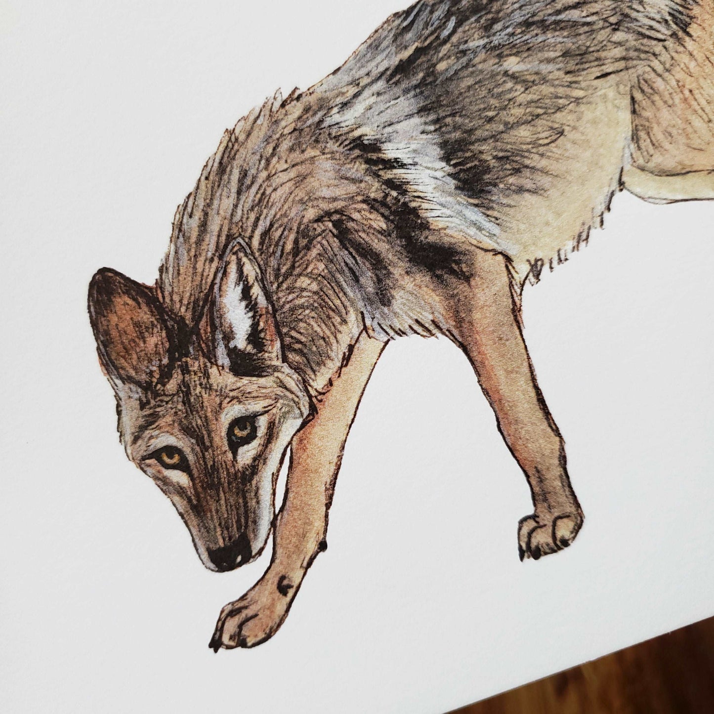 AZ Series Coyote Print