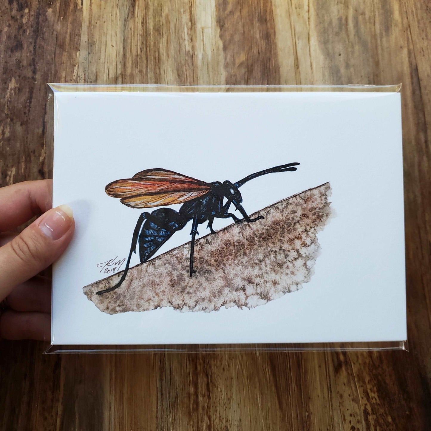 AZ Series Tarantula Hawk Wasp Print
