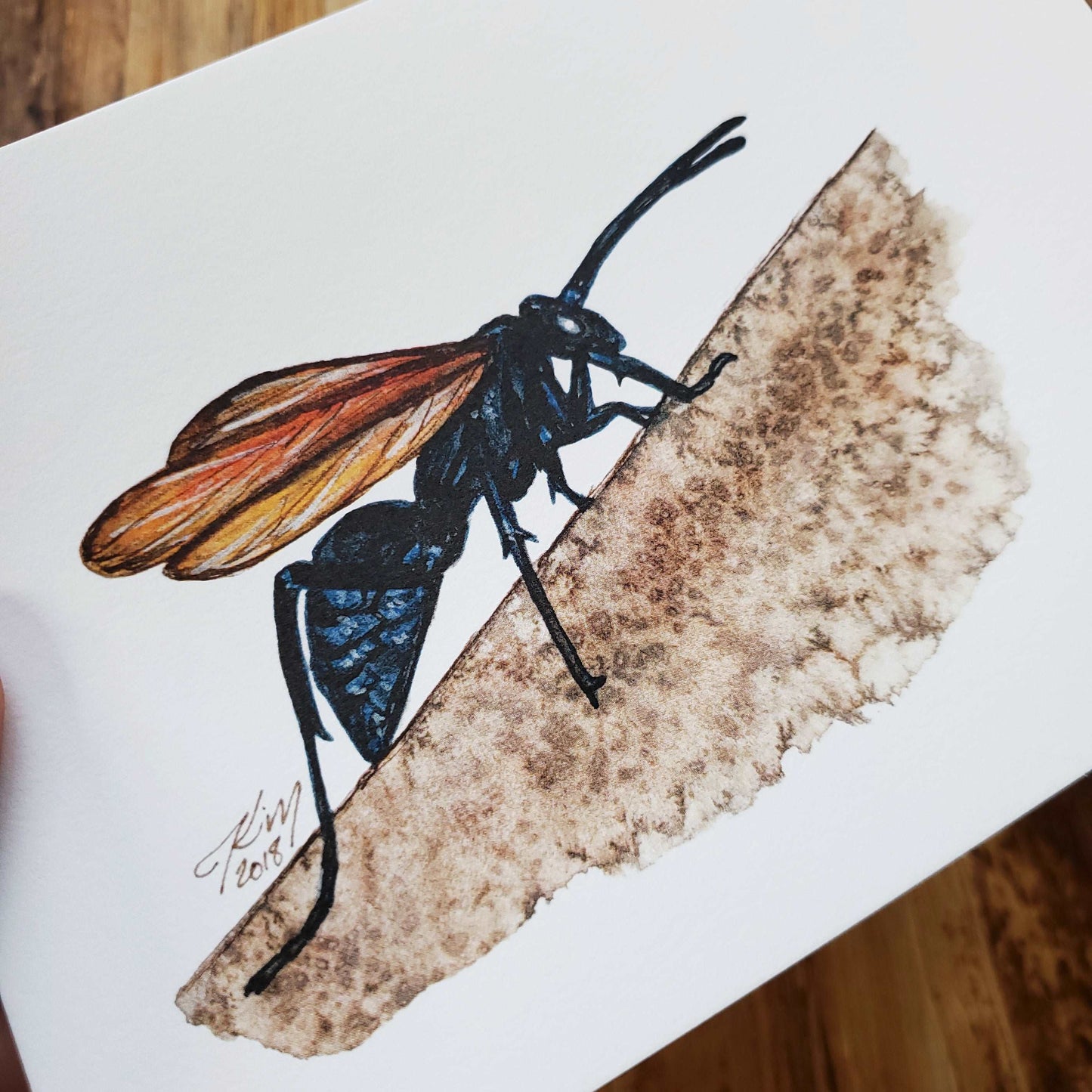 AZ Series Tarantula Hawk Wasp Print