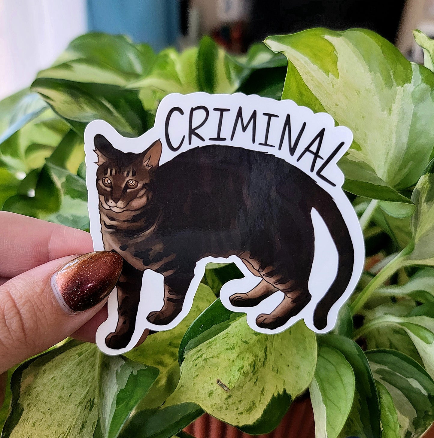 Criminal Cat Pet Vinyl Sticker