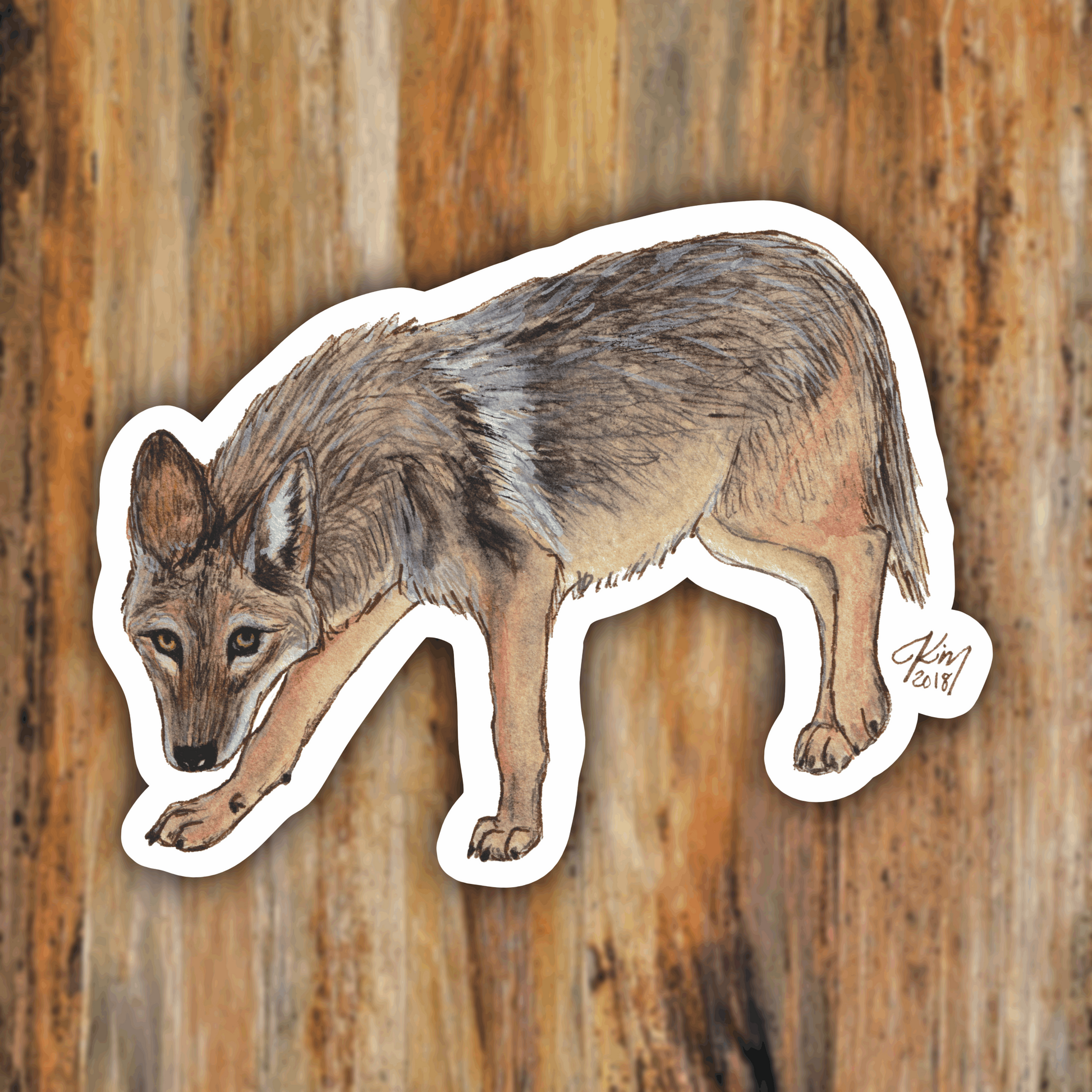 AZ Series Coyote Vinyl Sticker