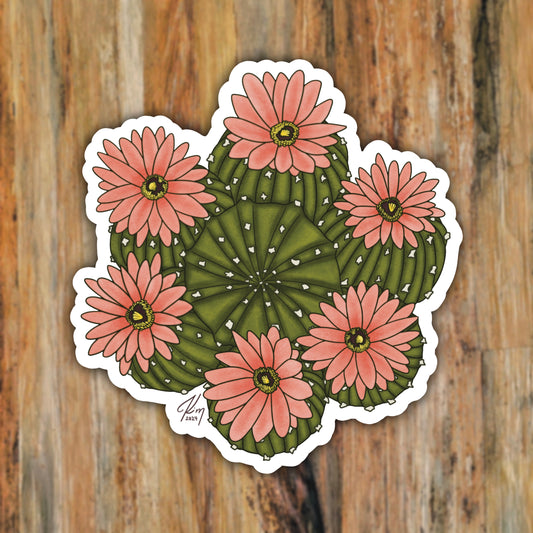 Blooming Barrel Cactus Nature Art Vinyl Sticker