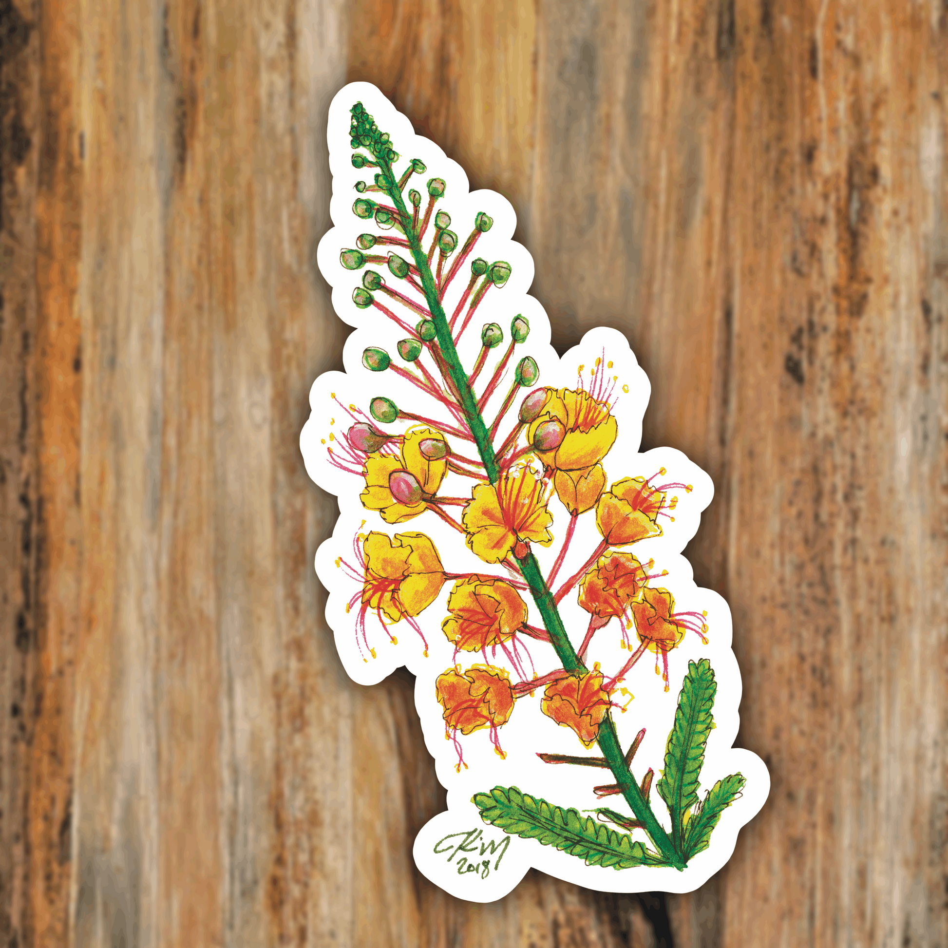 AZ Series Mexican Bird of Paradise Vinyl Sticker