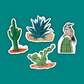 Mini AZ Series Cacti Stickers