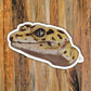 “Stevie” Leopard Gecko Pet Portrait OG Art Vinyl Sticker