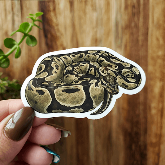 Ball Python Pet Art Vinyl Sticker