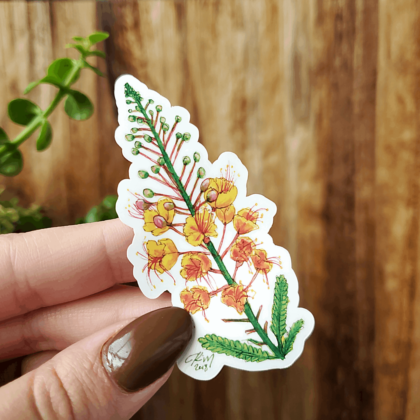 AZ Series Mexican Bird of Paradise Vinyl Sticker