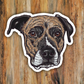 Pet Portrait "Allie" Brindle Bully Breed Dog Vinyl Sticker