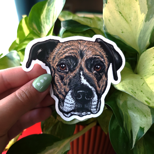 Pet Portrait "Allie" Brindle Bully Breed Dog Vinyl Sticker