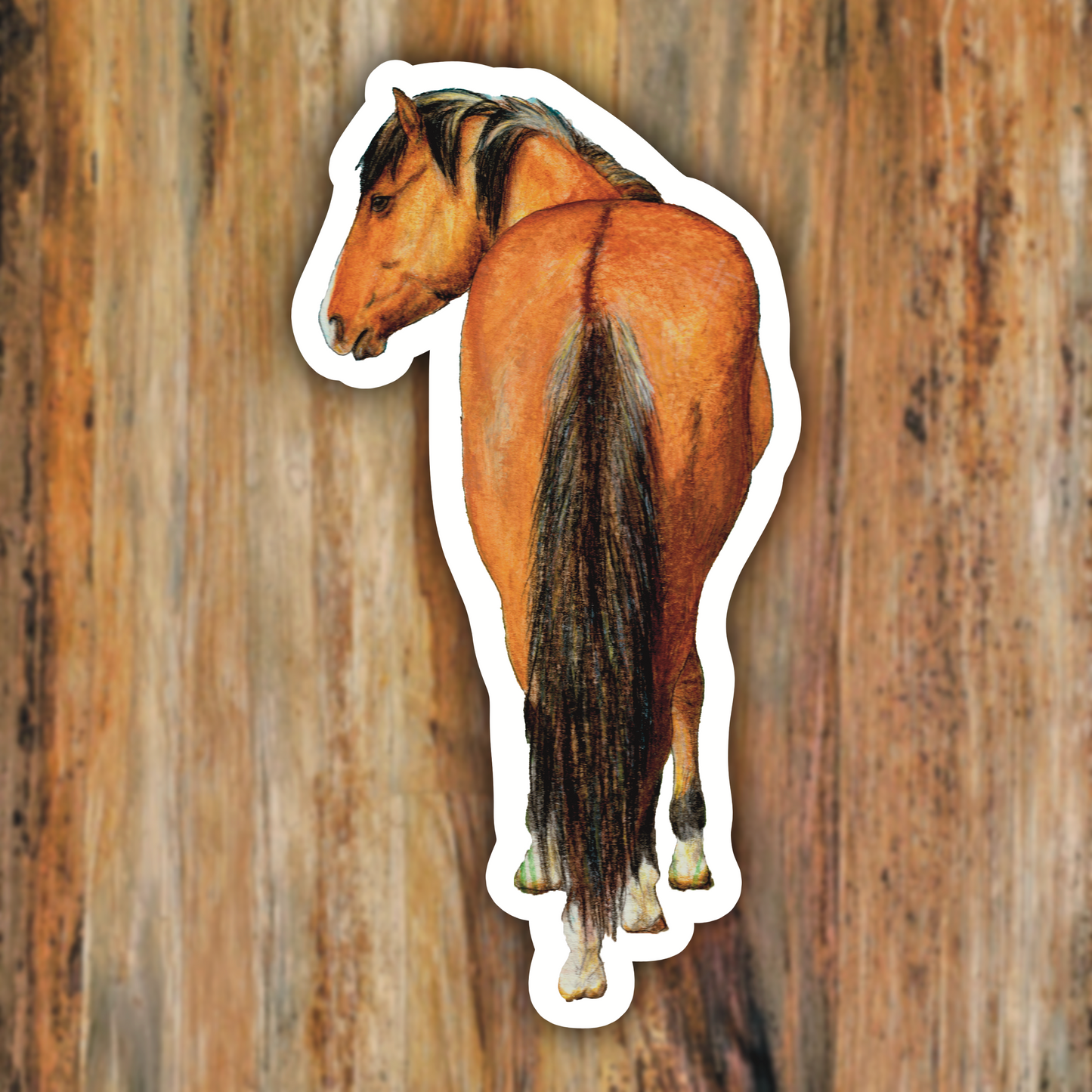 Colten the Quarter Horse Vinyl Sticker