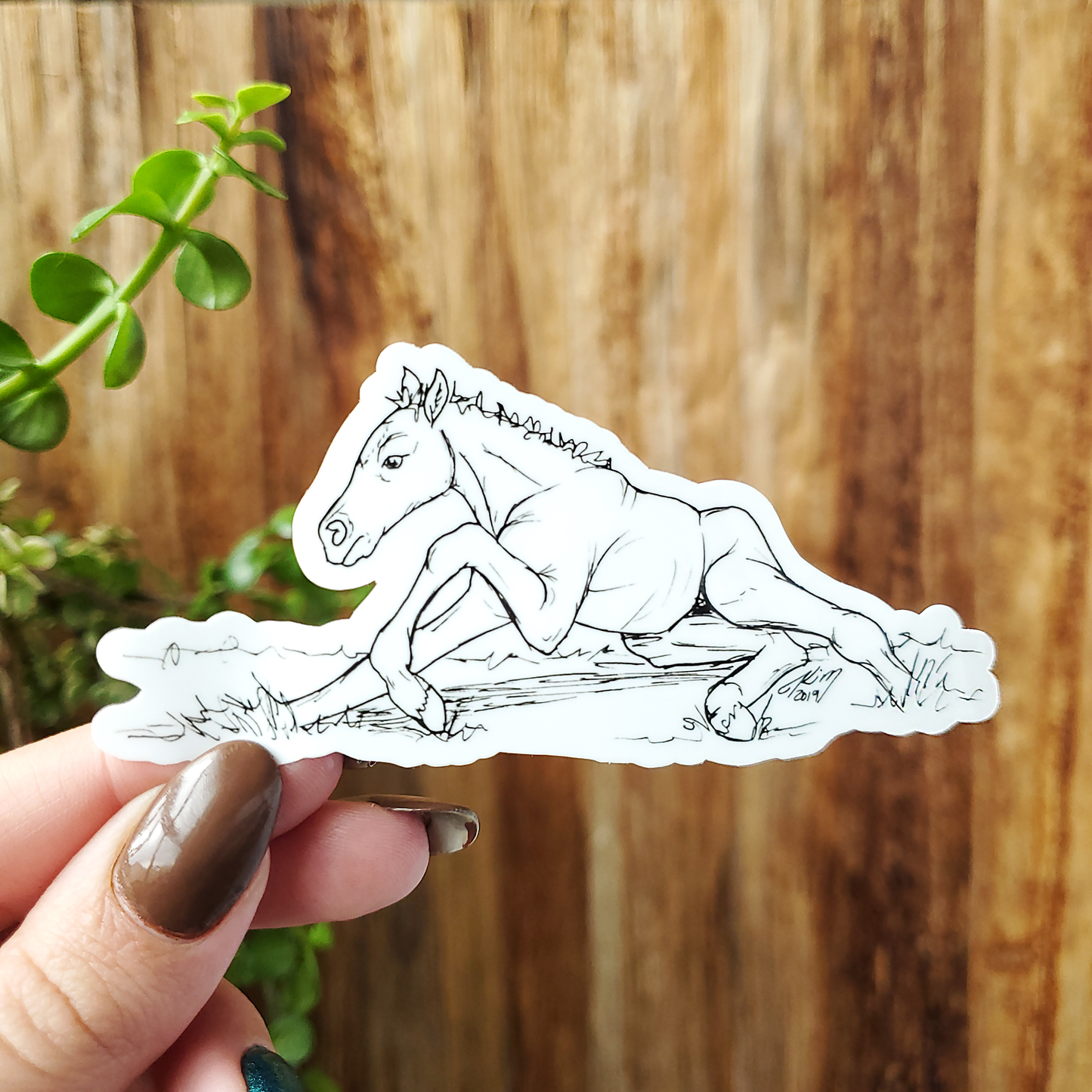 Frail Foal Horse Vinyl Sticker