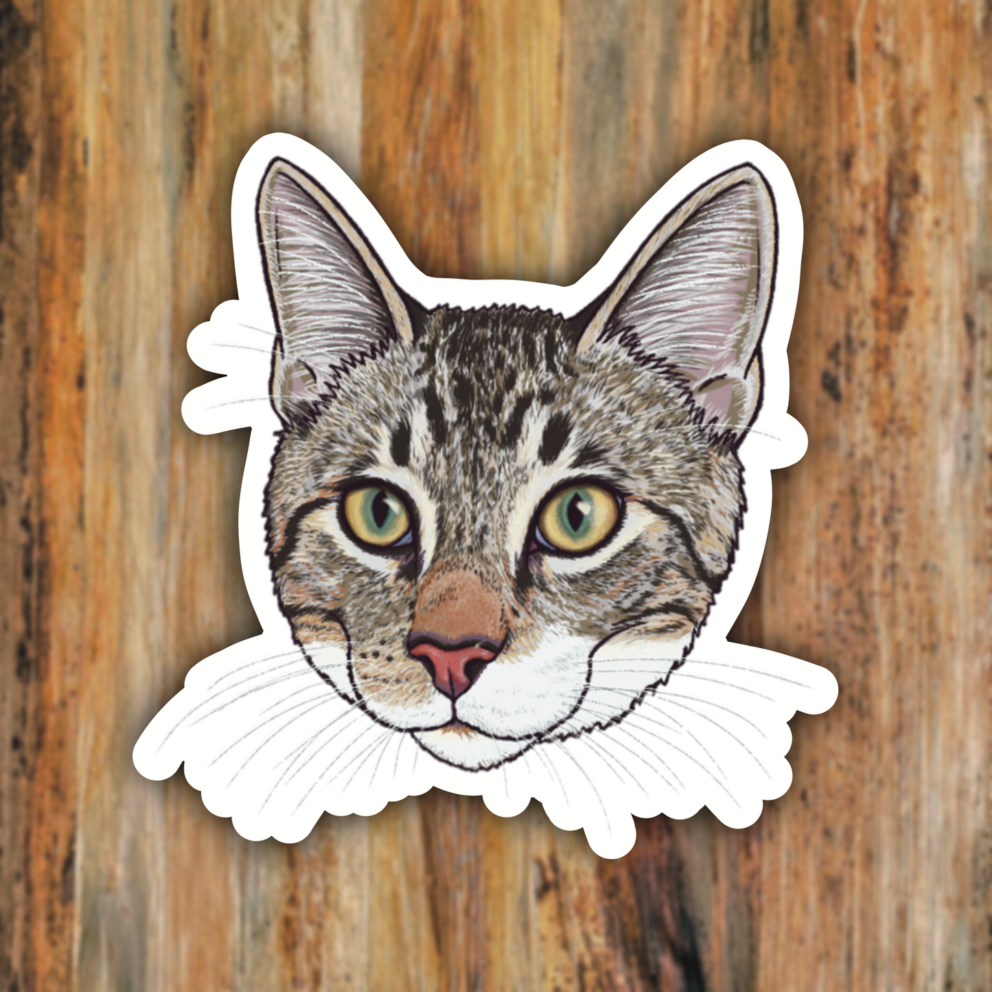 Pet Portrait "Ravioli" Splashy Standard Issue Tabby Cat Vinyl Sticker
