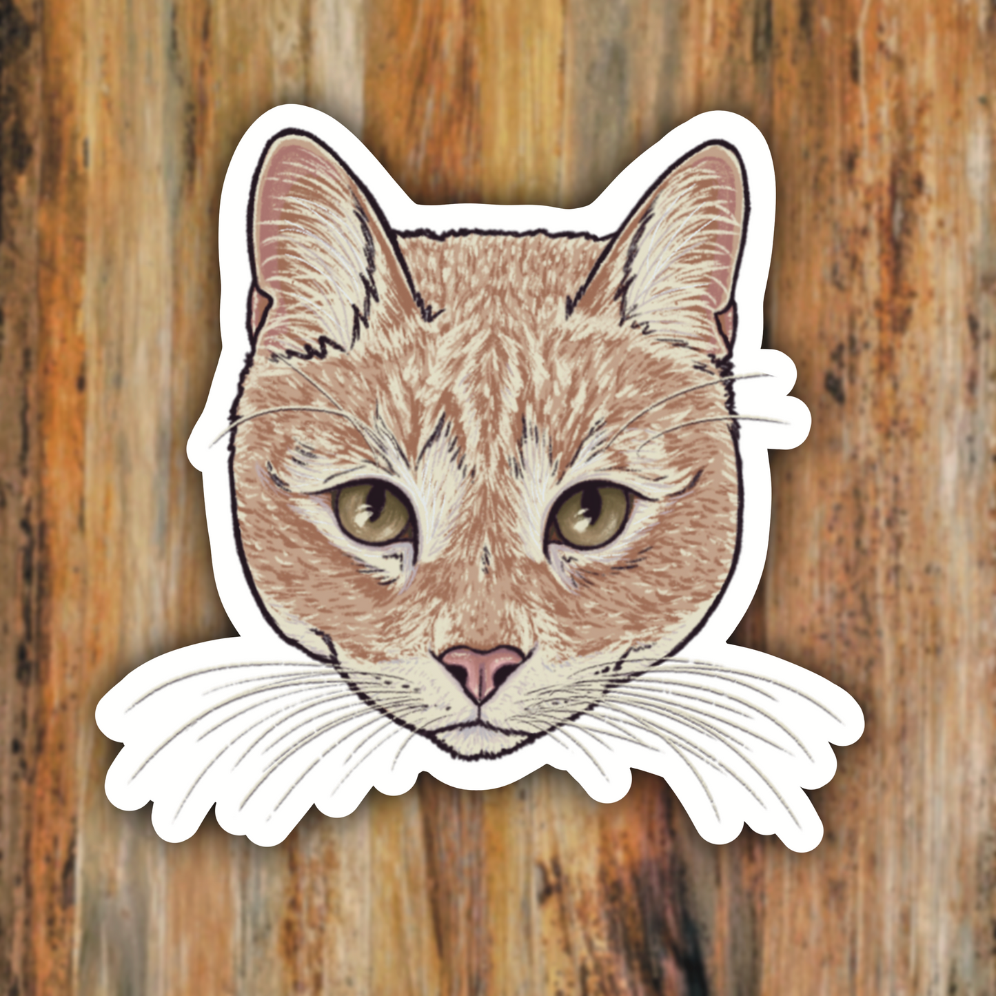 Pet Portrait "Simba" Orange Cat Vinyl Sticker