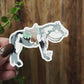 Flashy Paint Horse Vinyl Sticker