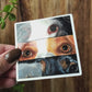 Dog Eyes Pet Art Vinyl Sticker