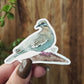 AZ Series White Winged Dove Vinyl Sticker