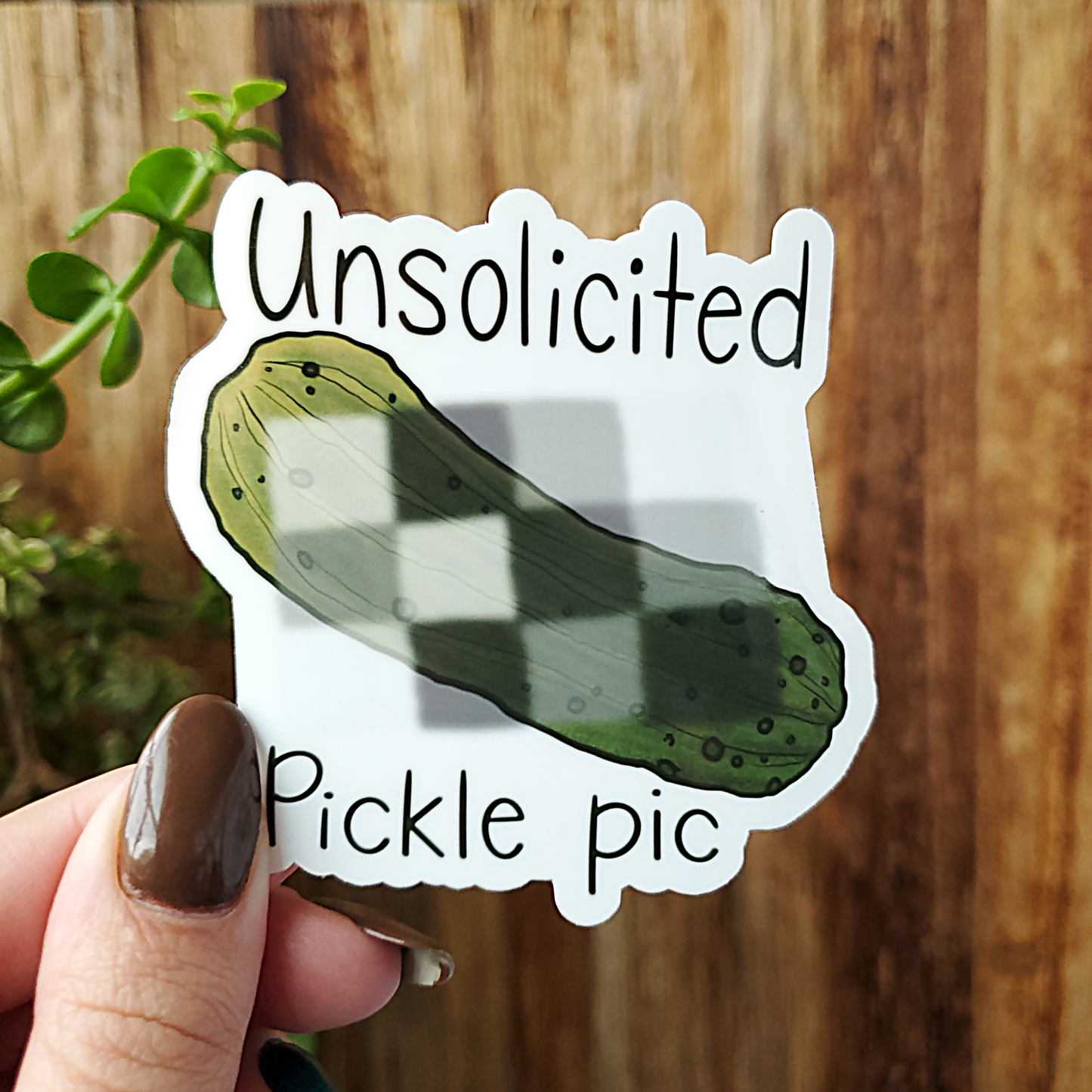 Unsolicited Pickle Pic Censored OG Art Vinyl Sticker